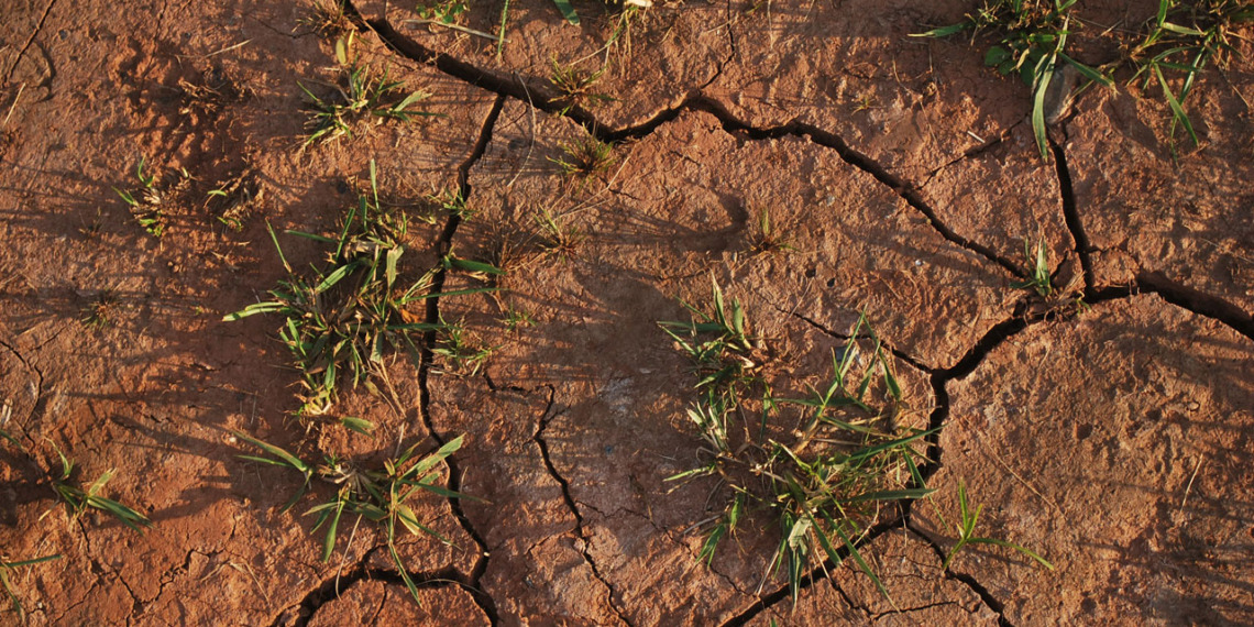 Europe drought