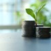 EU green bonds