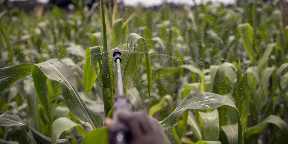 Pesticides