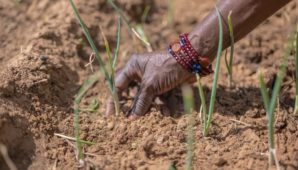 climate change agriculture