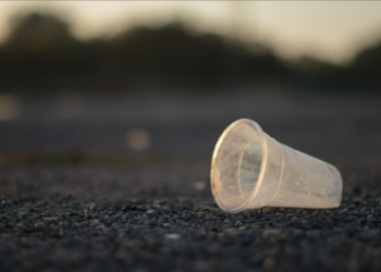 Scientists Find Microbes That Can Break Down Plastic in the Cold