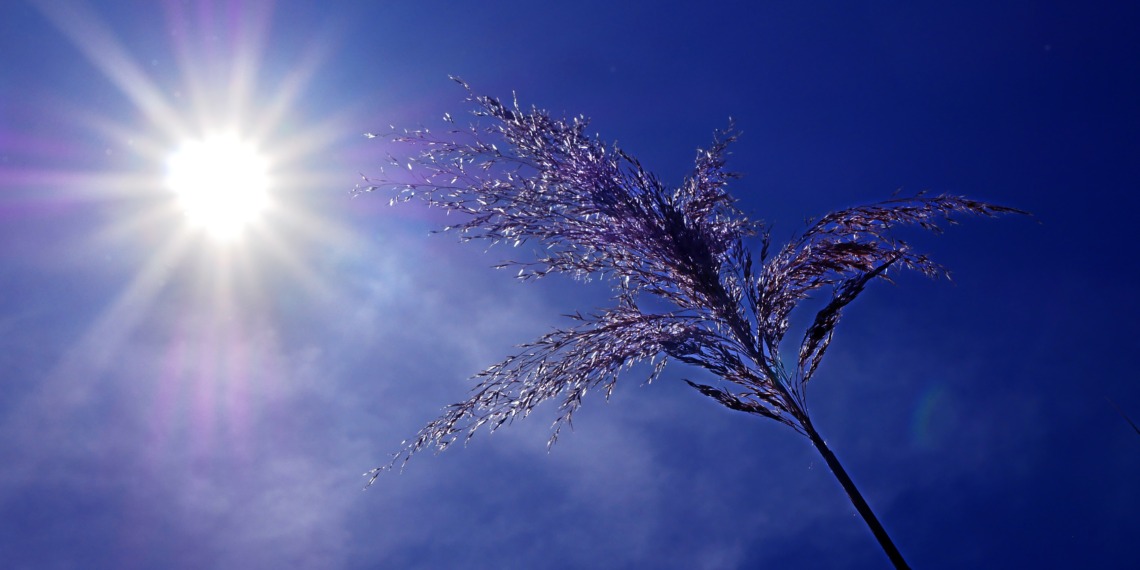 heatwaves