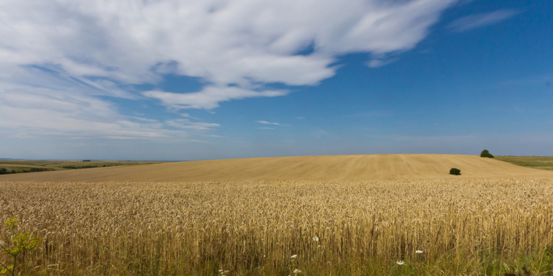 Ukraine agriculture