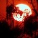 A burning red sun represents the threat of a breach of the After the hottest start to June on record, data shows that the average global temperatures of recent weeks breach the 1.5°C limit in June.