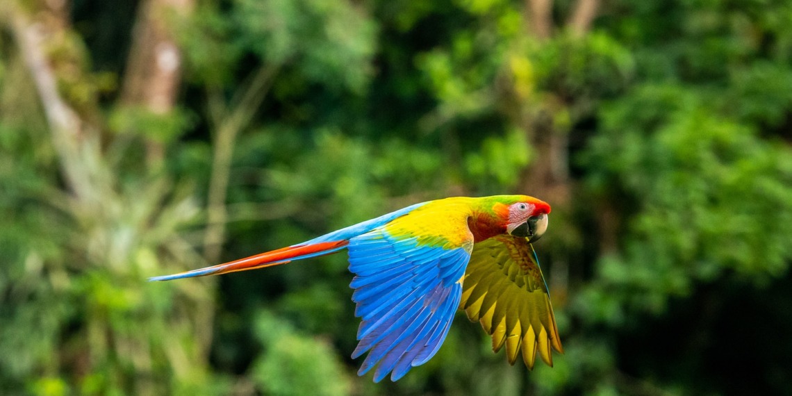 conservation