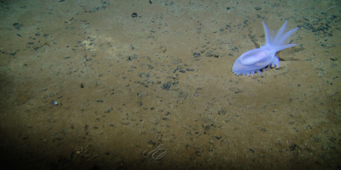 deep sea mining