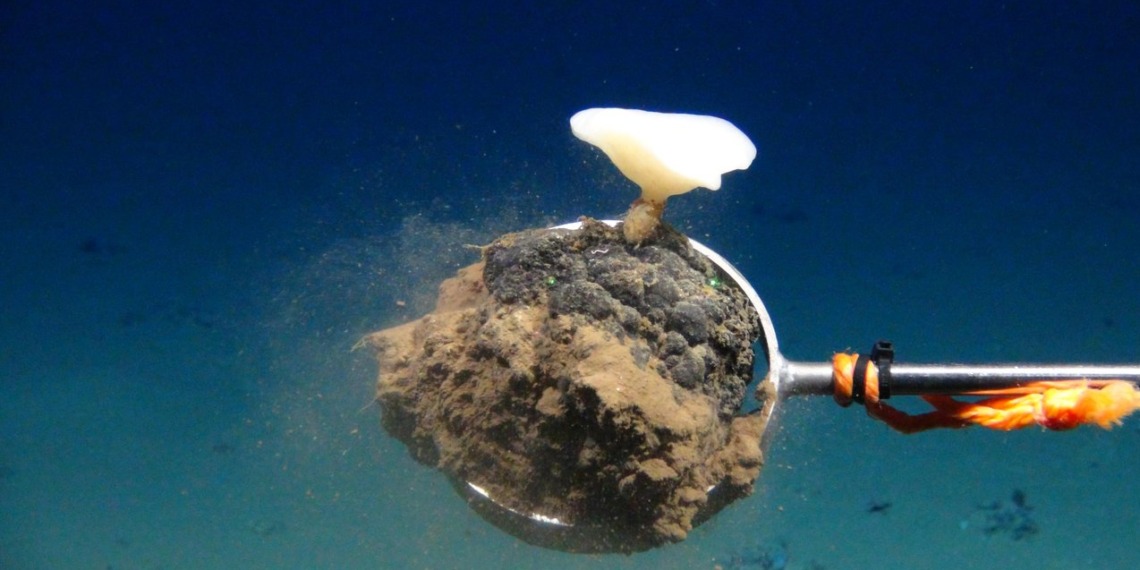Seabed mining