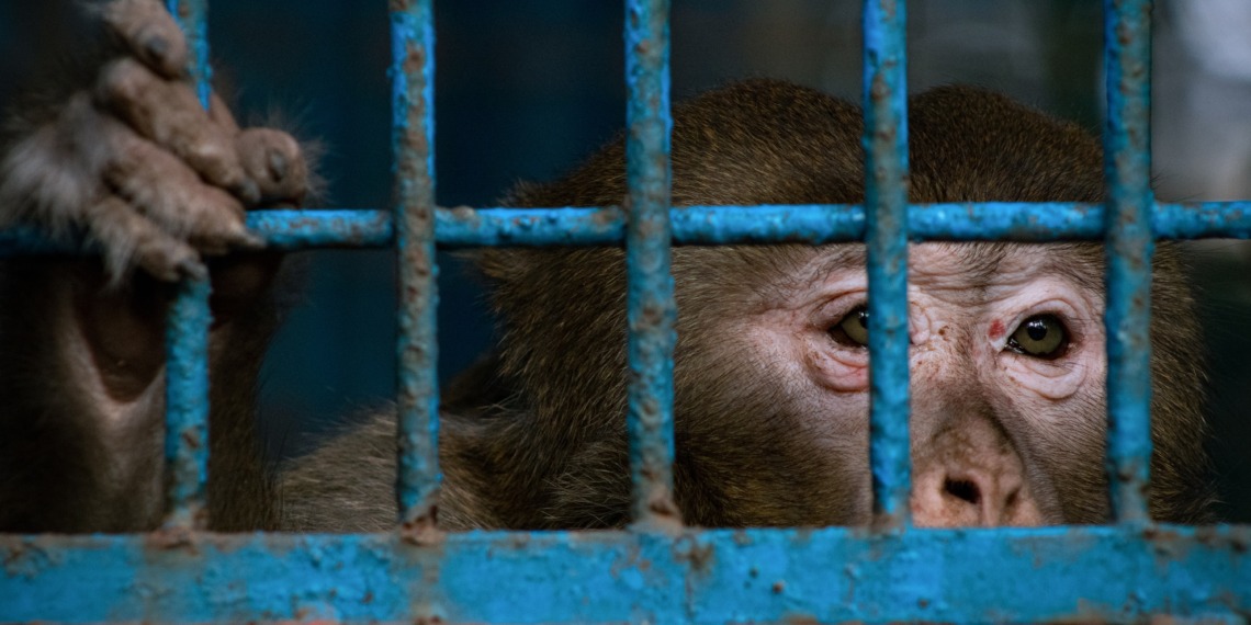 Zoos