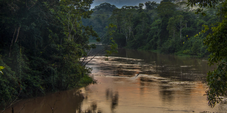 oil drilling in the Amazon