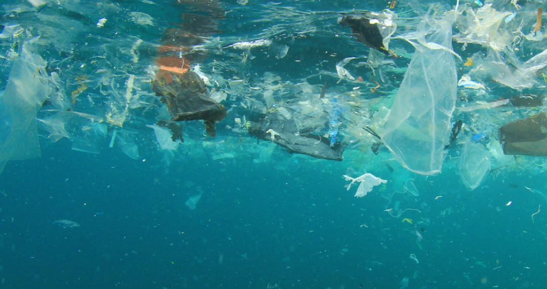 plastic pollution treaty