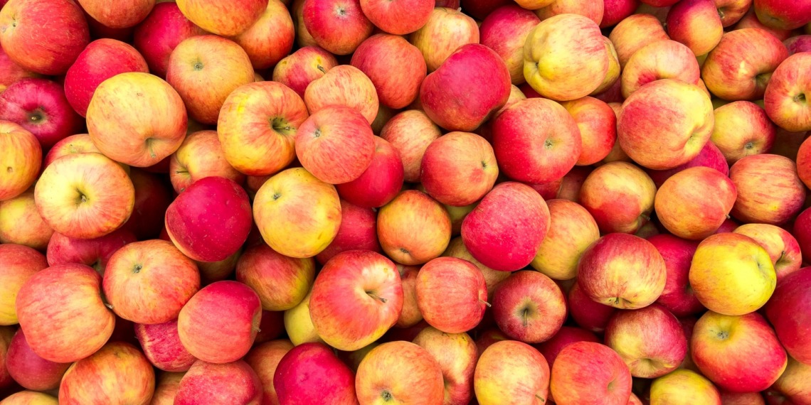 lab-grown fruit