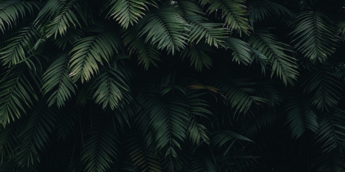 Nature Restoration Law