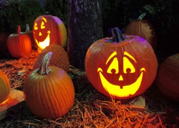 Halloween 2023: No Tricks, Just Treats and Green Tips