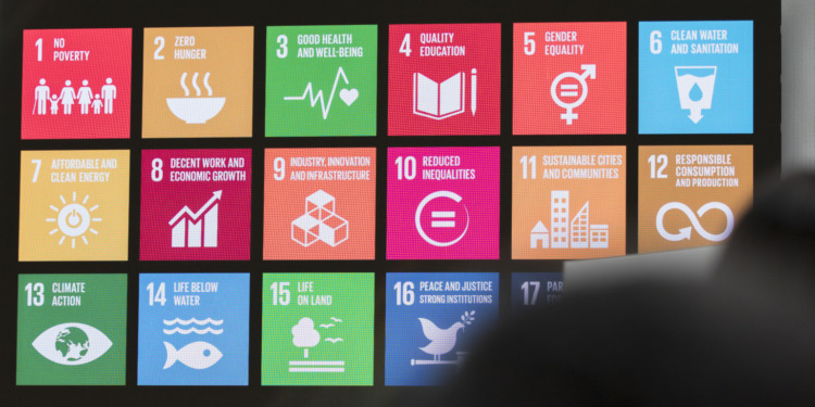 SDGs assessment tool