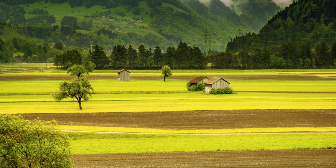 Agroecology