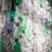 Plastic bottles recycling