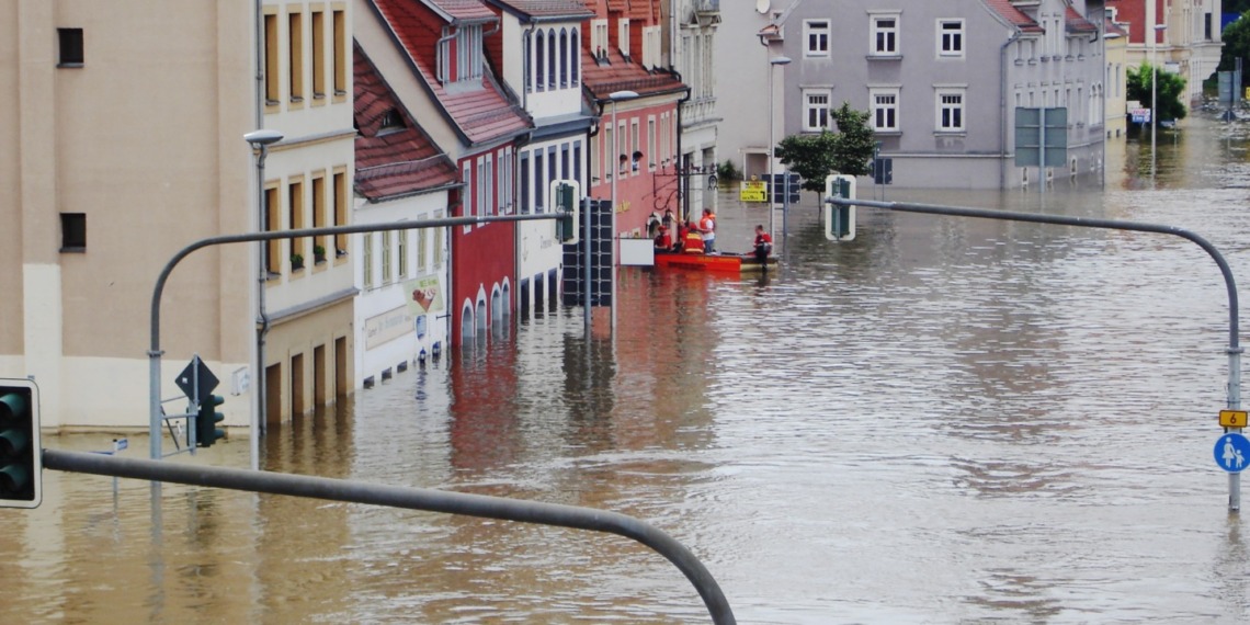 Climate change economy