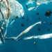 plastic pollution
