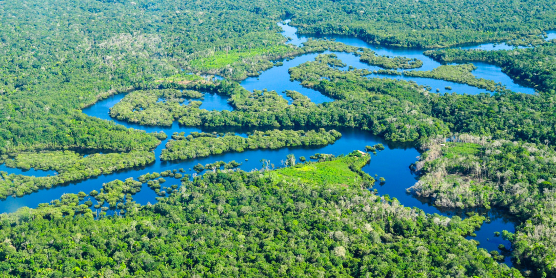 Microsoft carbon credits