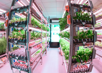 COP28 Agrifood Systems