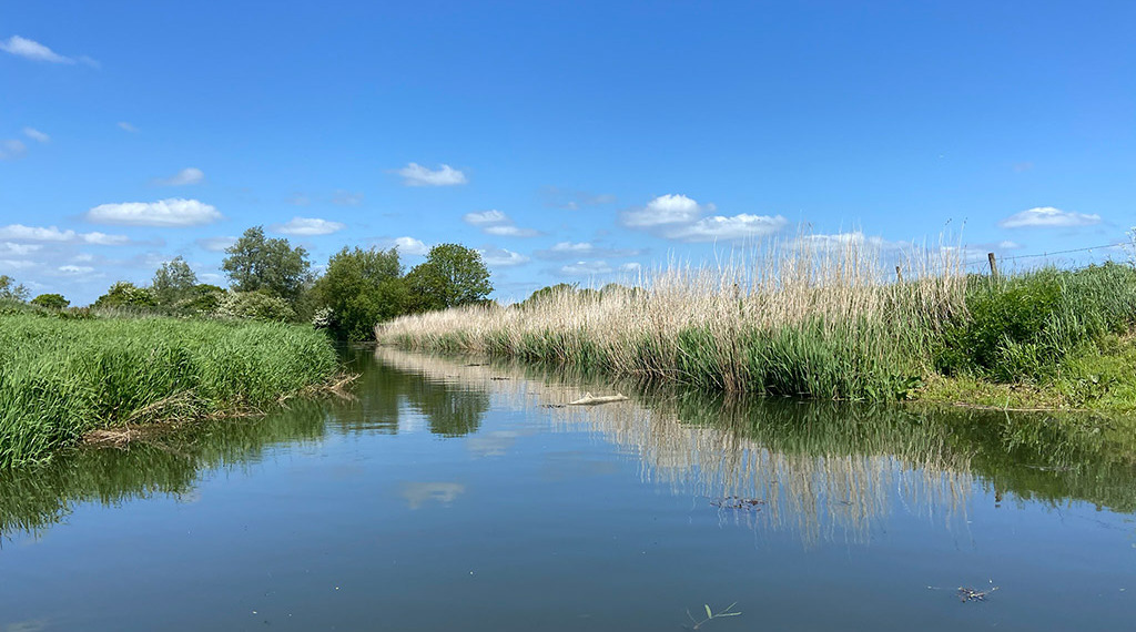 Rights of Rivers