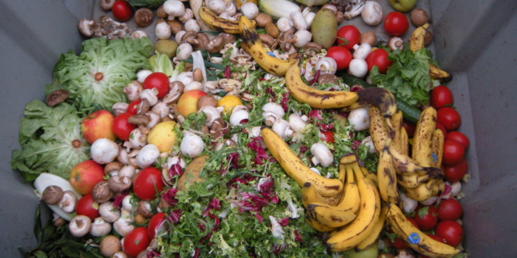 Carbon removal that uses food waste and wastewater