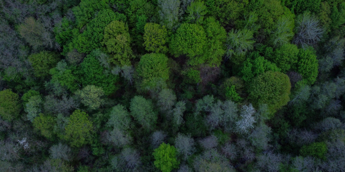 Carbon Markets