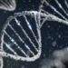 Gene editing