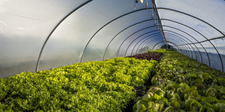 Climate-smart agriculture