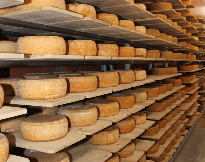 vegan cheese