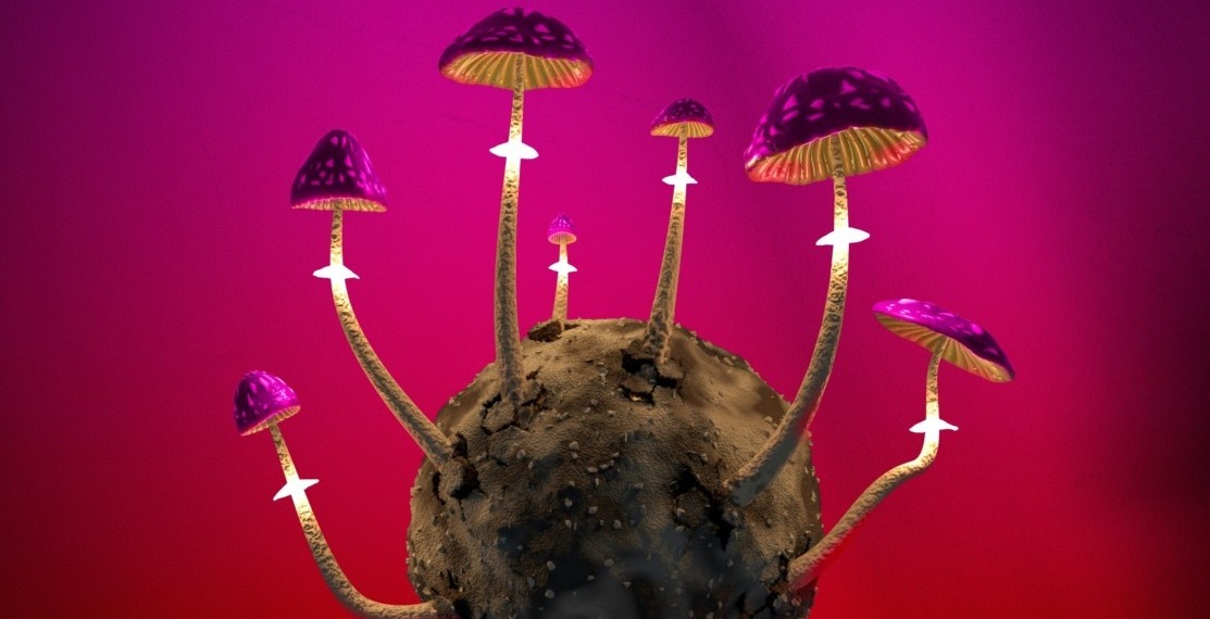 climate change and infectious diseases