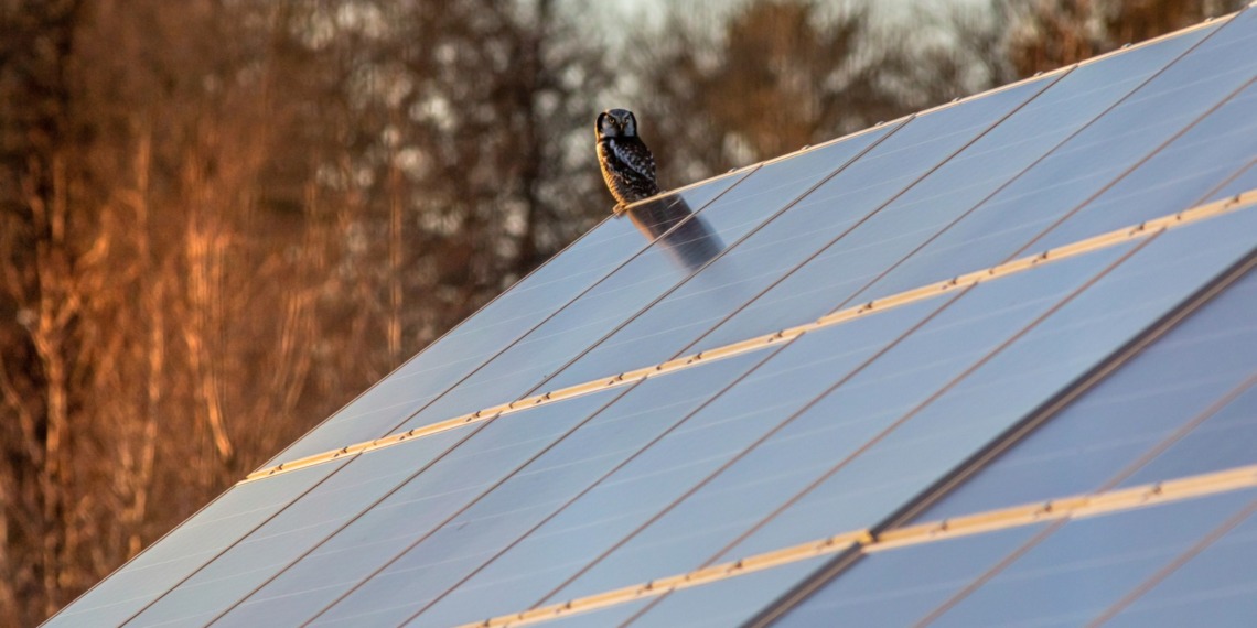 Sustainable energy
