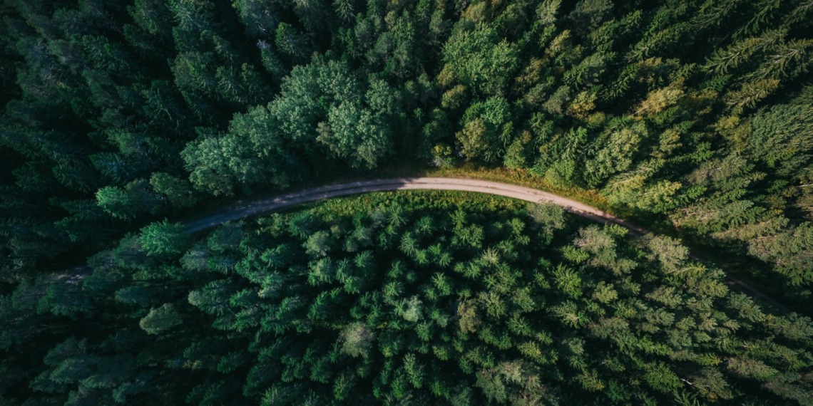 nature restoration