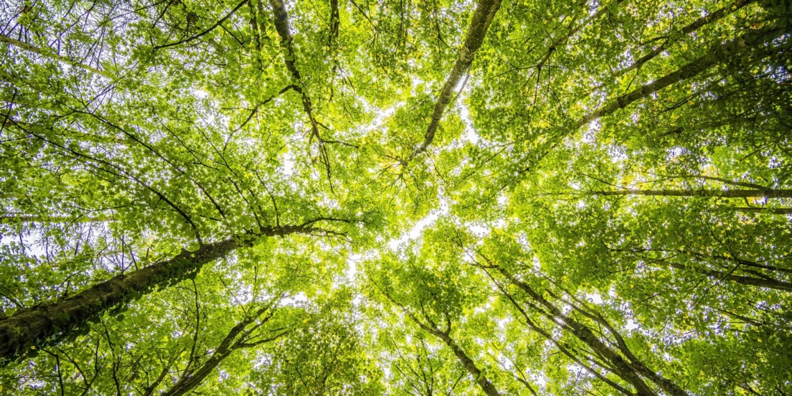 Natural Capital
