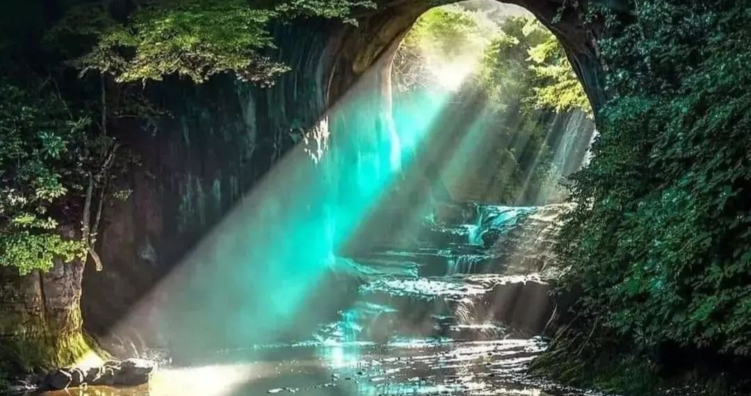 Amazon rainforest France and Brazil