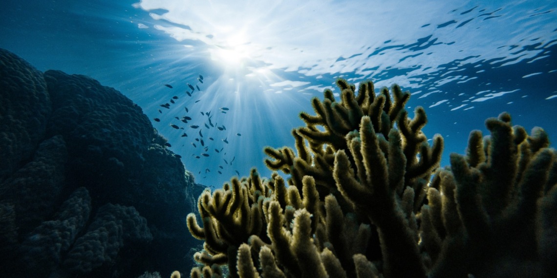 EU oceans