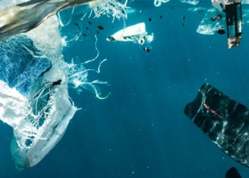 INC-4 plastic pollution