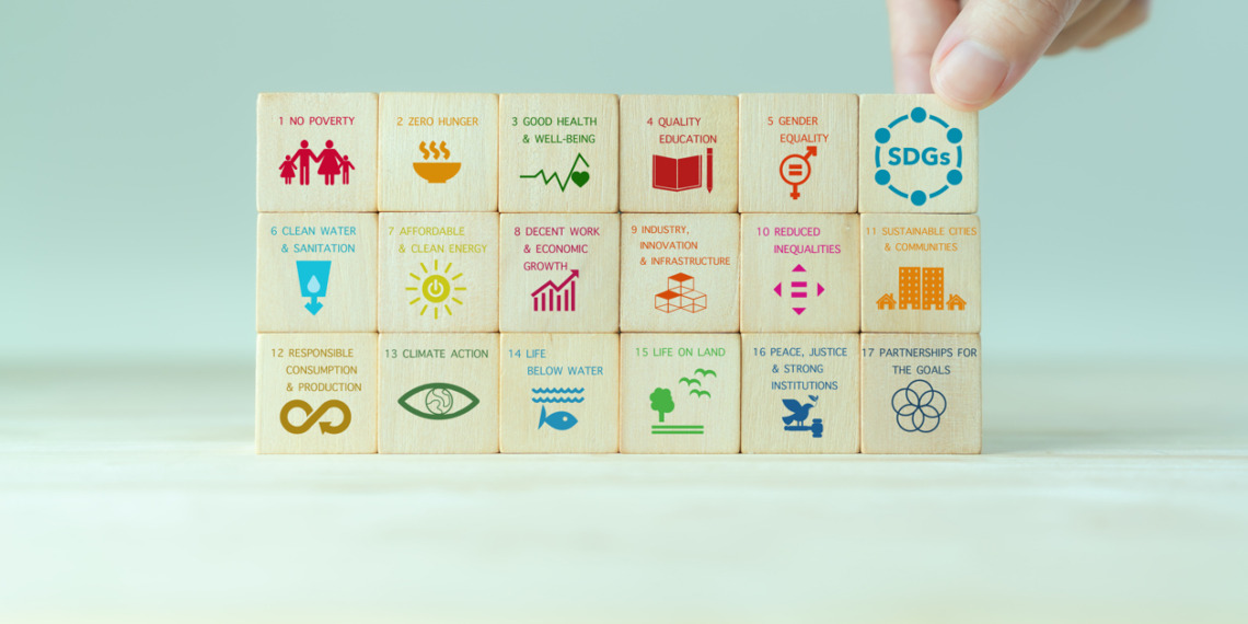 Investors SDGs