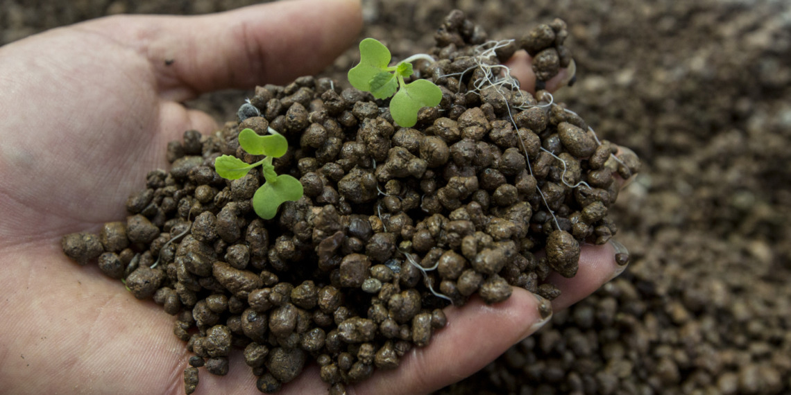Healthy Soils