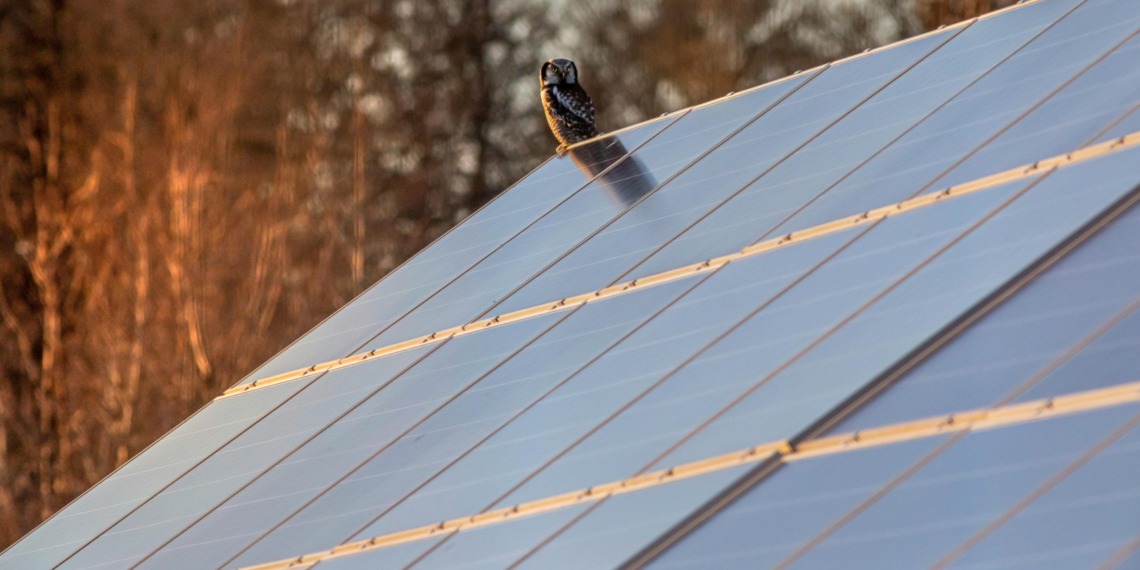 Climate finance startups
