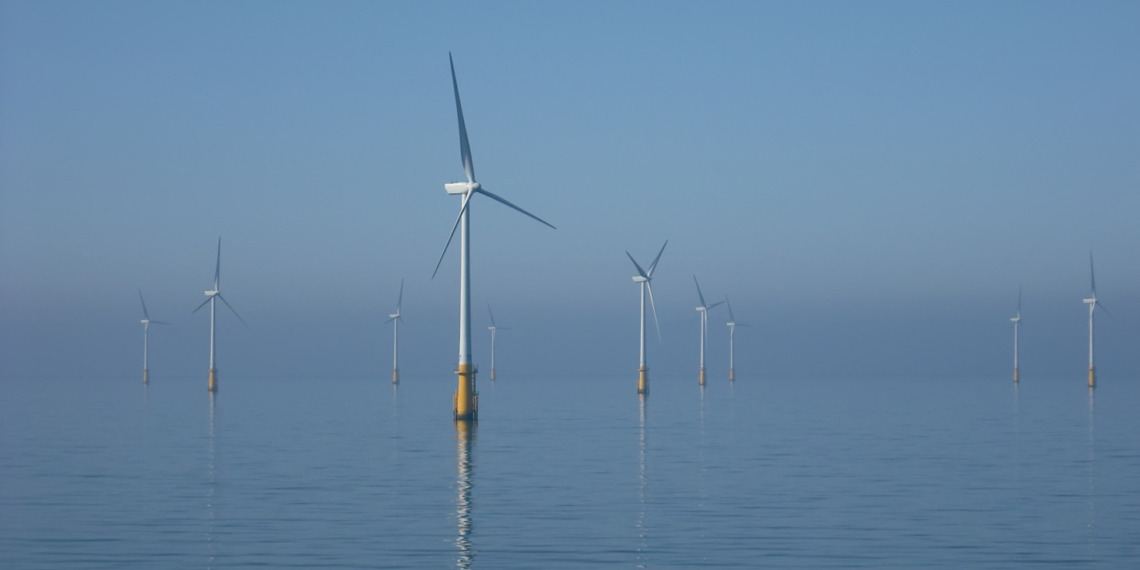 offshore wind wildlife
