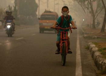 Air Pollution Deaths in Children