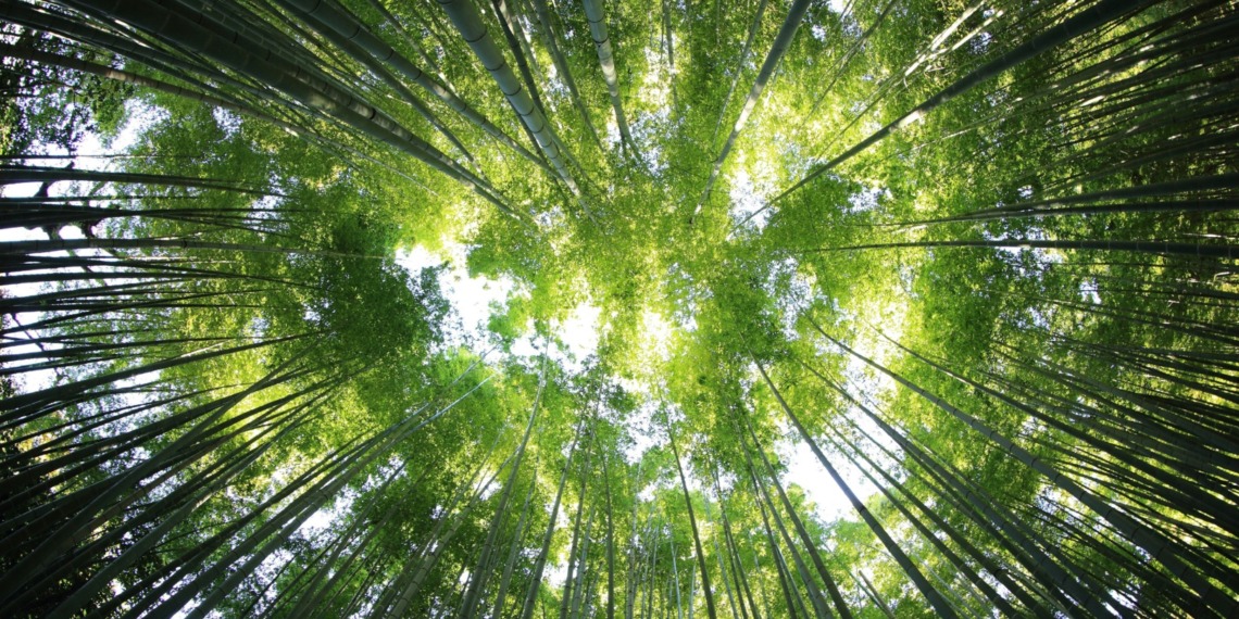 Debt for nature swaps
