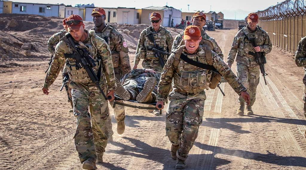 Multinational Force and Observers