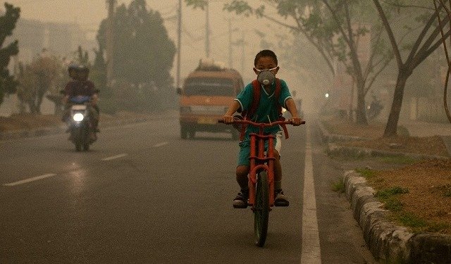 Air Pollution Deaths in Children