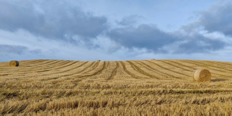 Climate finance critical for agribusiness to achieve sustainability goals.