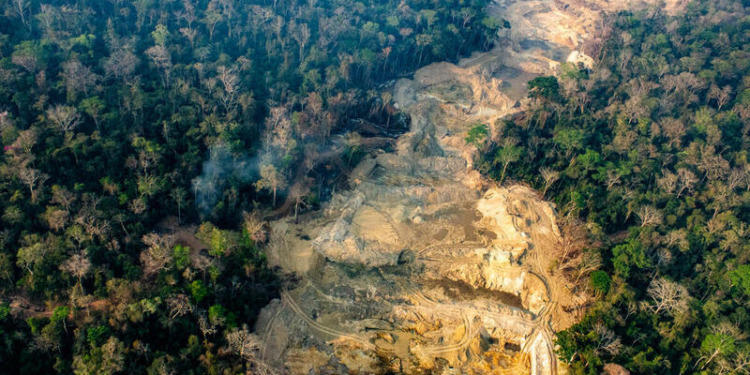 EU deforestation ban