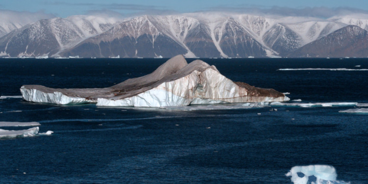 Arctic carbon dioxide