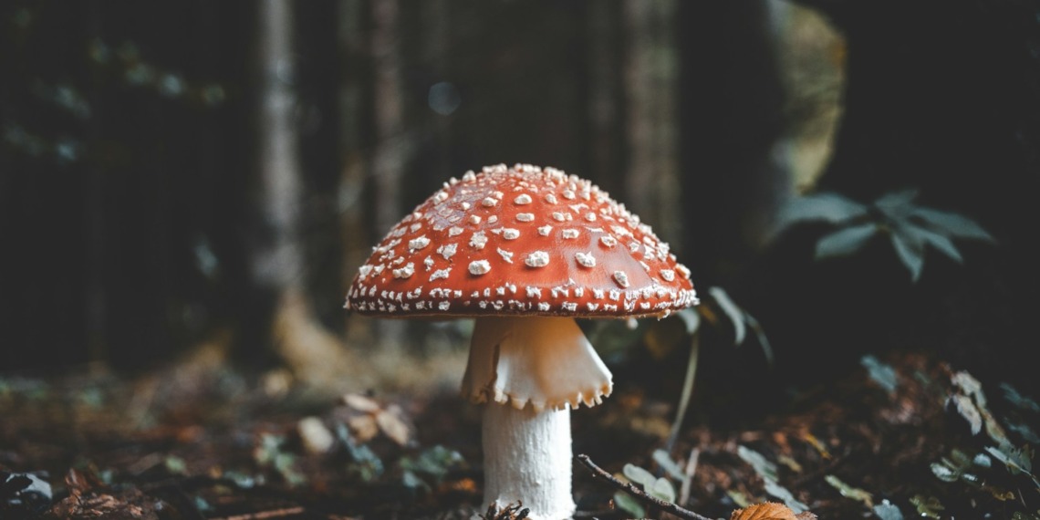 ESG news regarding $200B for Biodiversity, Biogas Emissions Tracker,Oil Prices Drop, CFOs Bet on Sustainability