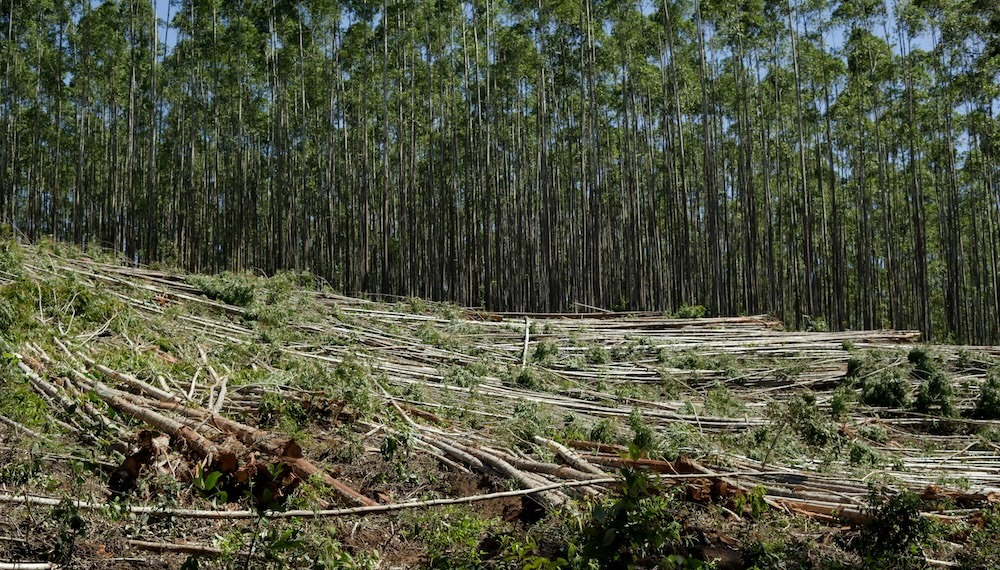 ESG news covering the EU’s delay of deforestation rules, rising U.S. housing risks from climate impacts, IFC’s $100M clean-energy investment in emerging markets, and ABN AMRO’s appointment of a new Chief Sustainability Officer.